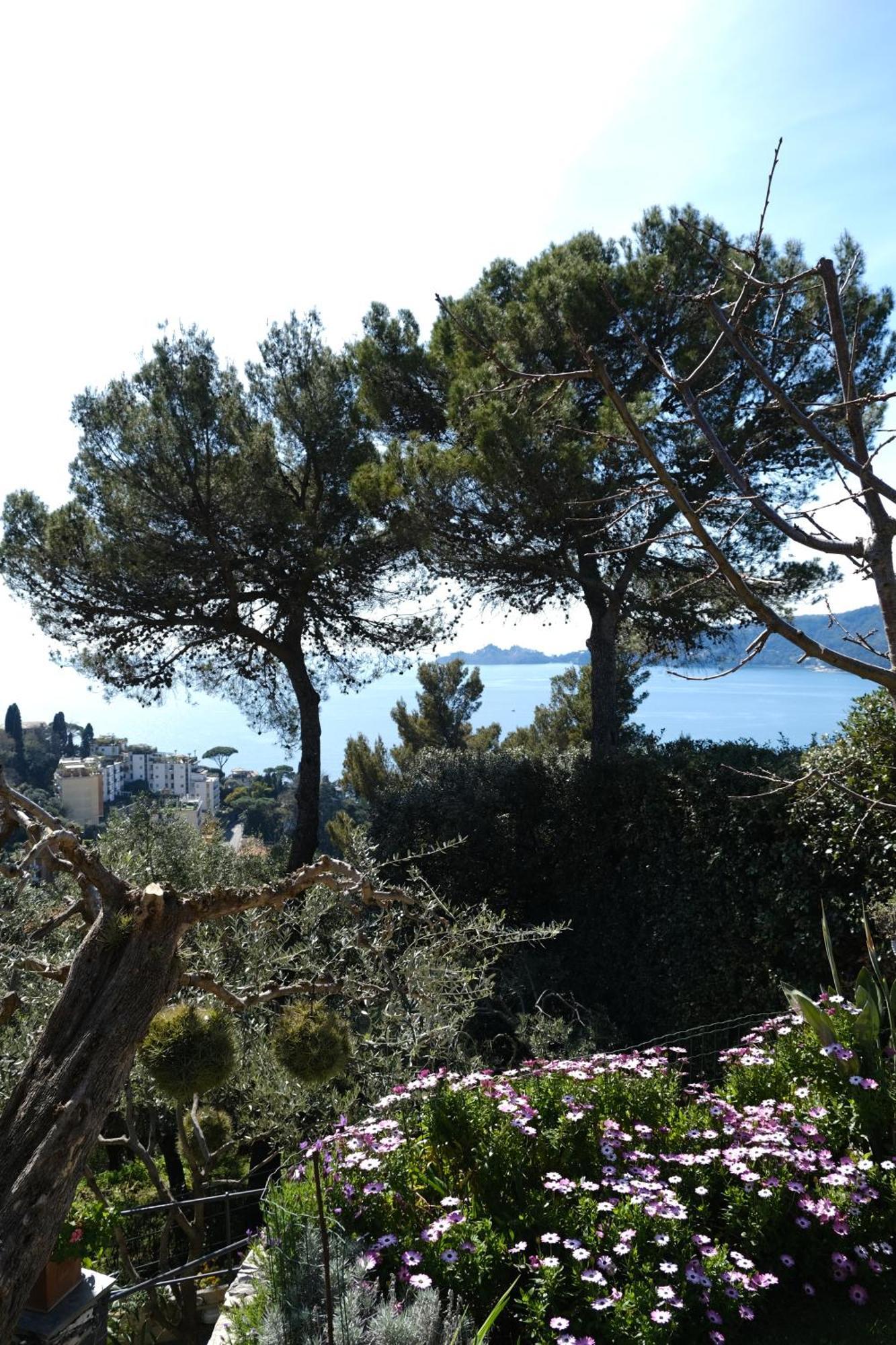 L'Alcova Tra Gli Ulivi By Portofinovacanze โซอาลยี ภายนอก รูปภาพ
