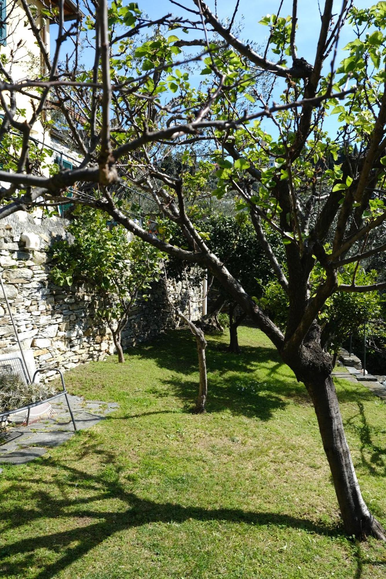 L'Alcova Tra Gli Ulivi By Portofinovacanze โซอาลยี ภายนอก รูปภาพ