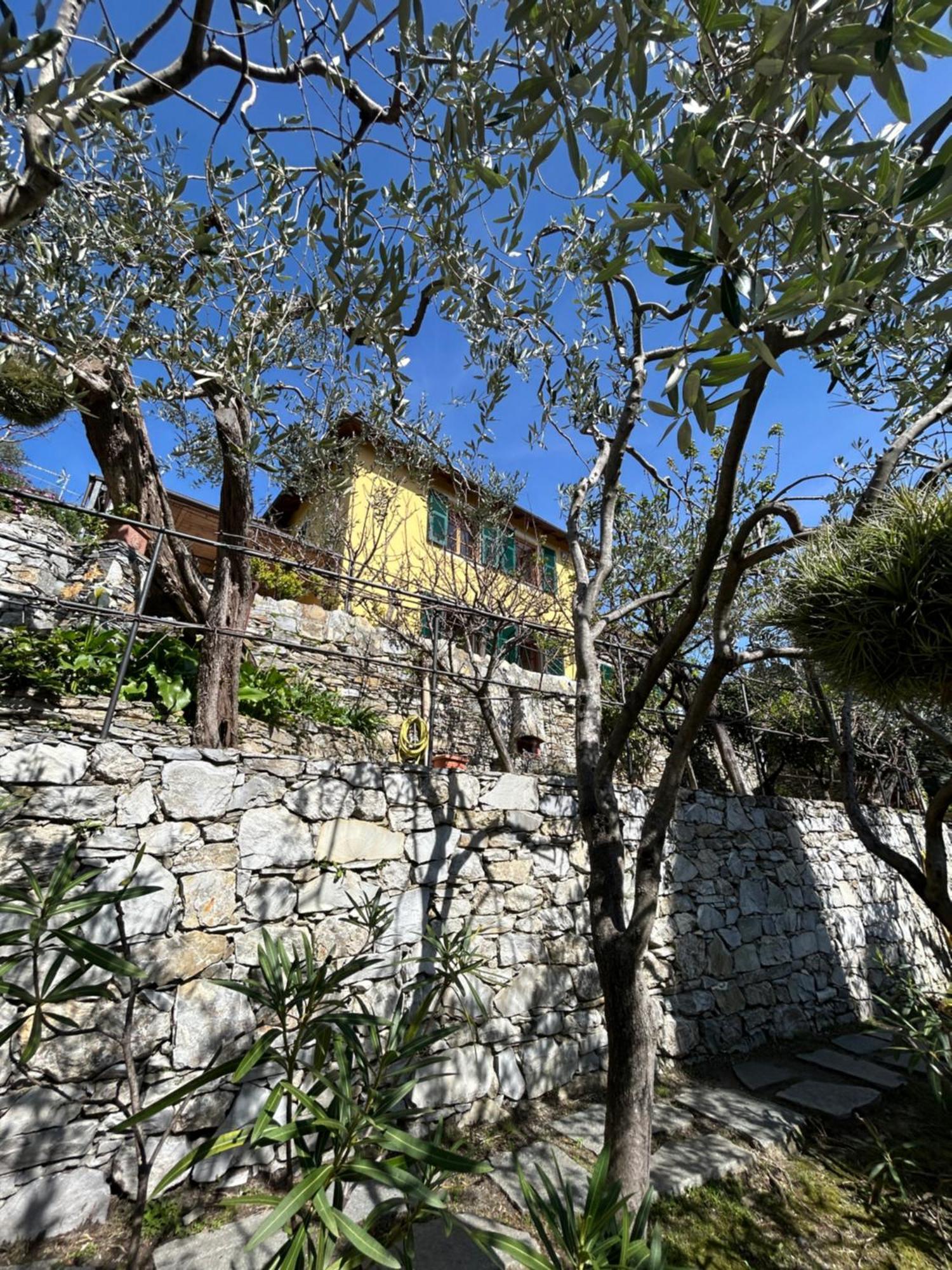 L'Alcova Tra Gli Ulivi By Portofinovacanze โซอาลยี ภายนอก รูปภาพ