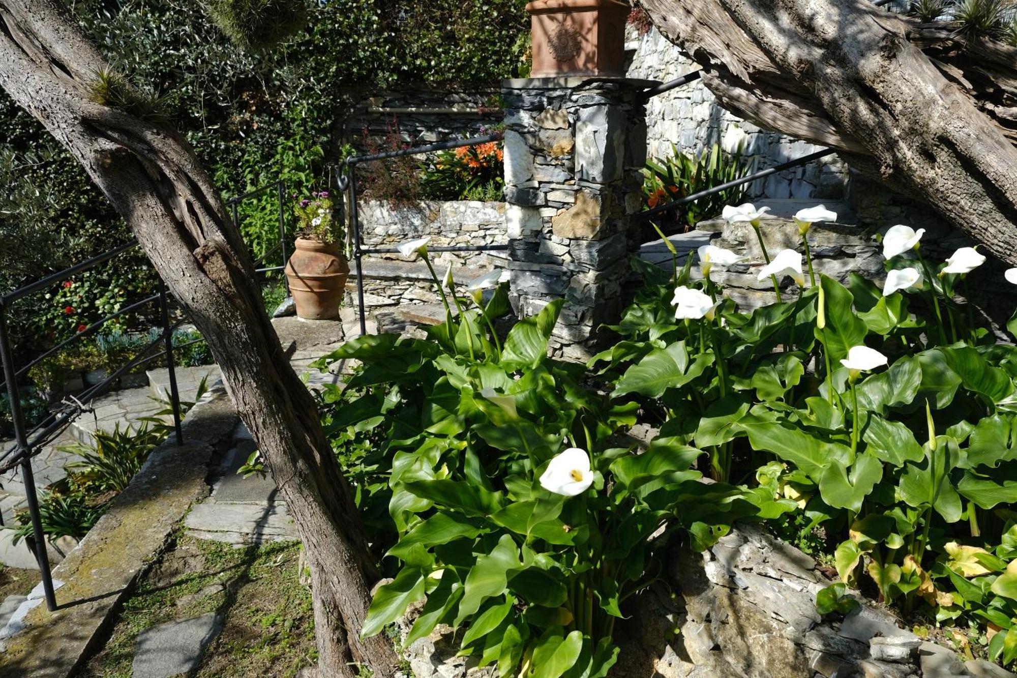 L'Alcova Tra Gli Ulivi By Portofinovacanze โซอาลยี ภายนอก รูปภาพ